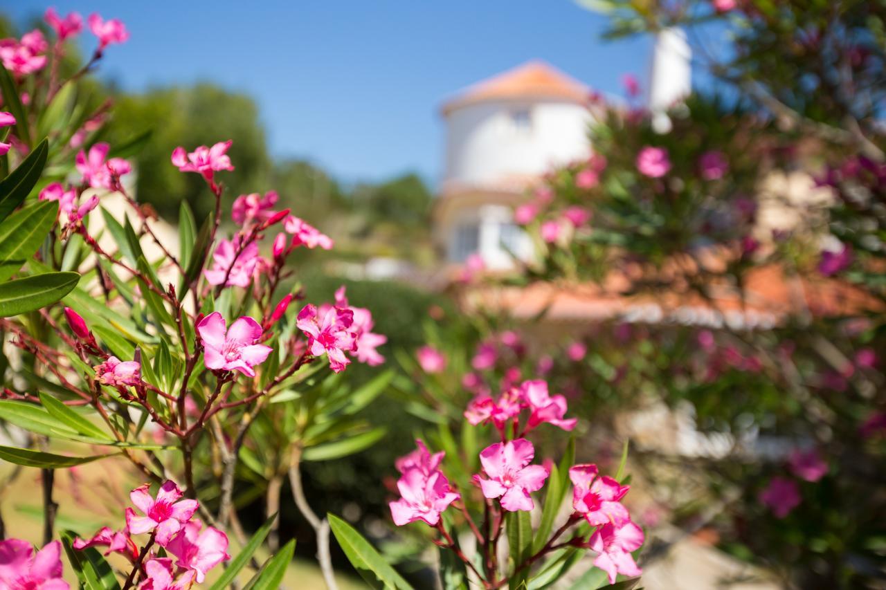 Quinta Do Cabo Guesthouse Azoia  Esterno foto